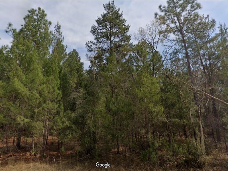 Get The Edge, as Low as $149 Down : Interlachen : Putnam County : Florida