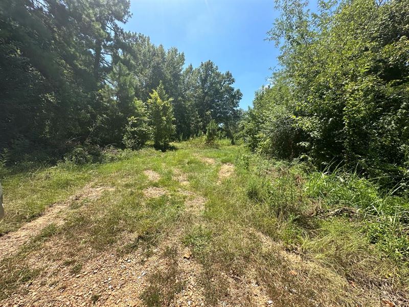 397 Cranfield Rd, Roxie, MS : Roxie : Adams County : Mississippi