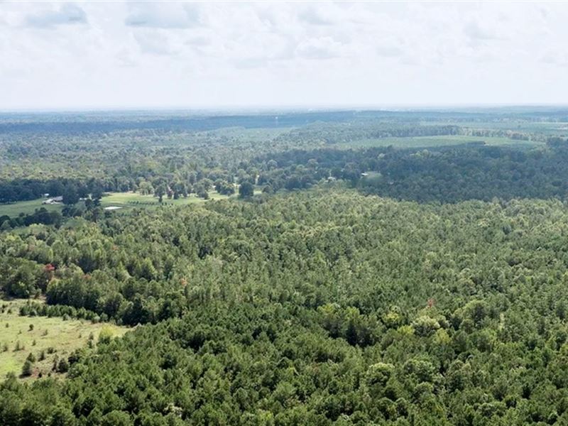 77K Sqft in Texarkana, TX : Texarkana : Bowie County : Texas