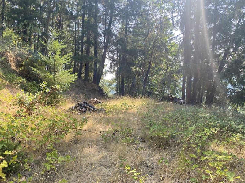 1803 Lakeview Drive : Sutherlin : Douglas County : Oregon