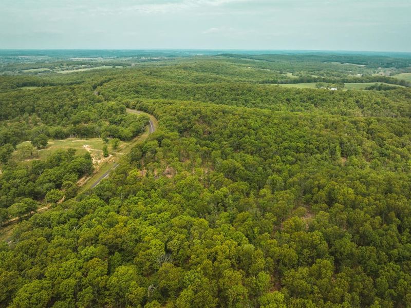 Elk Creek Acres-Tract 2 : Elk Creek : Texas County : Missouri