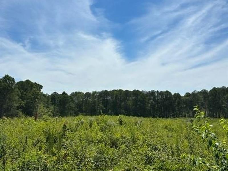 5.53 Acres Partially Wooded Prope : Tracy City : Marion County : Tennessee