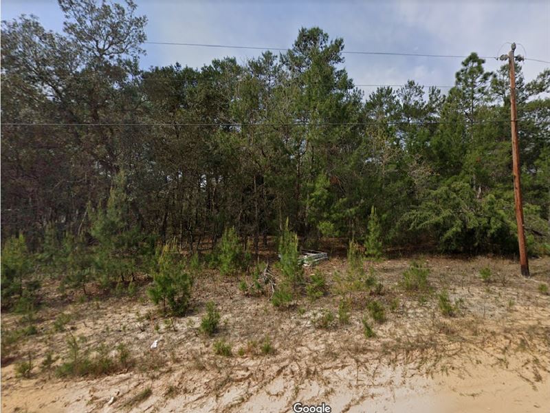 Live in Rural Bliss at $149 Down : Interlachen : Putnam County : Florida