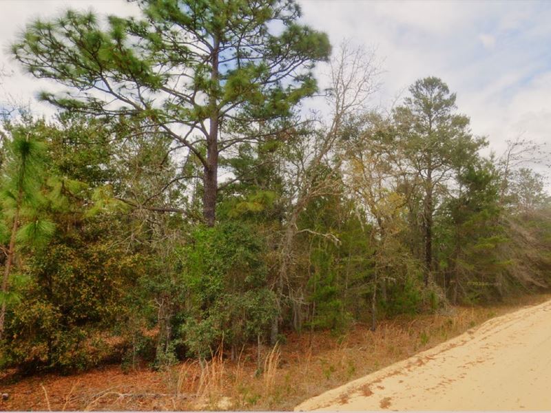 Manufactured Home, Mobile Homes, RV : Interlachen : Putnam County : Florida
