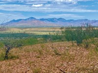 Scenic Views- 10 Percent Down : Huachuca City : Cochise County : Arizona