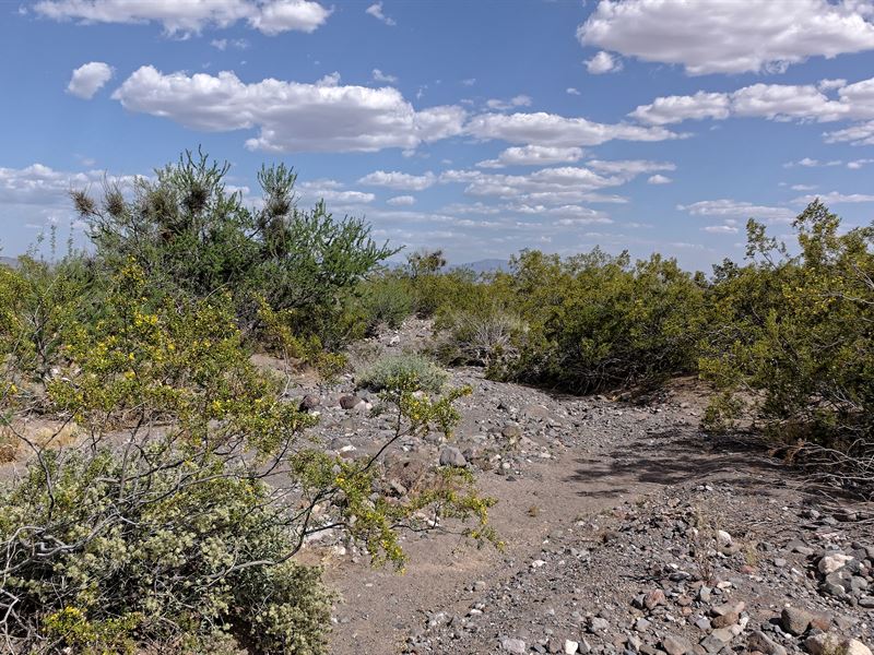 5 Ac Costilla County Only $215/Mo : San Luis Valley Ranches : Costilla County : Colorado