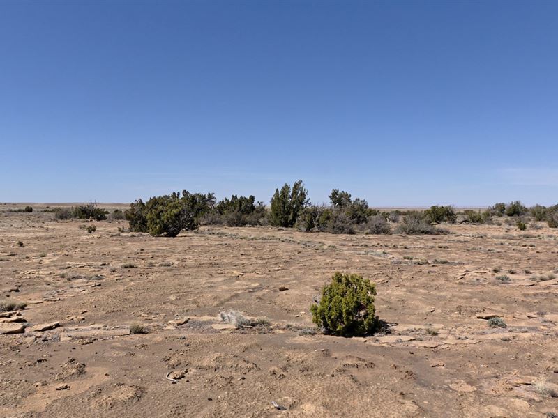 Own 5 Acres in AZ for $149/Month : Winslow : Navajo County : Arizona