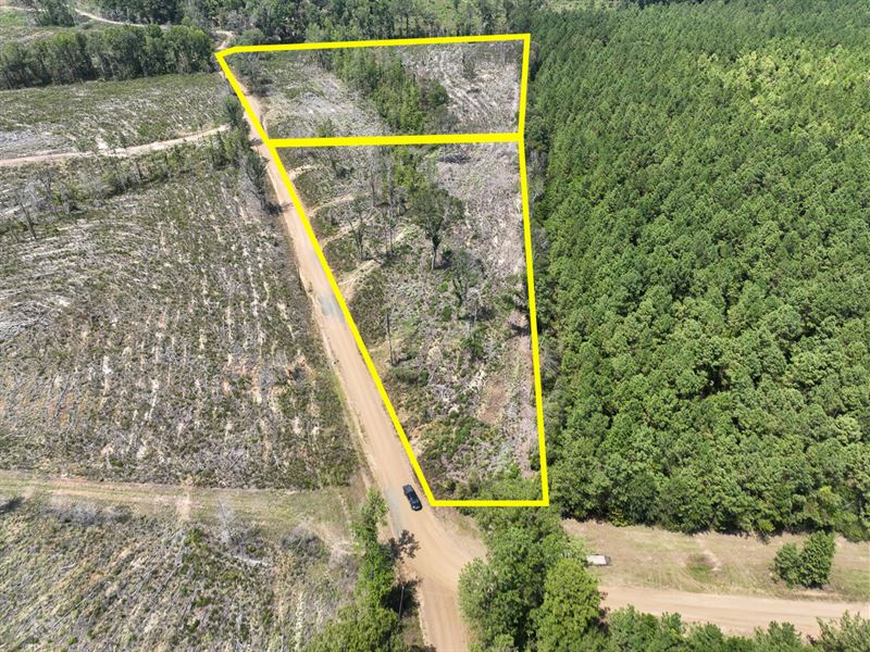 14.4 Acres, County Road 2108 T-4 : Burkeville : Newton County : Texas