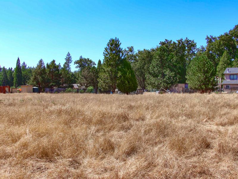 Near Yosemite National Park : Mariposa : Mariposa County : California