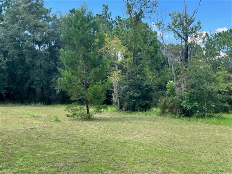 Perfect for Your New Home : Interlachen : Putnam County : Florida
