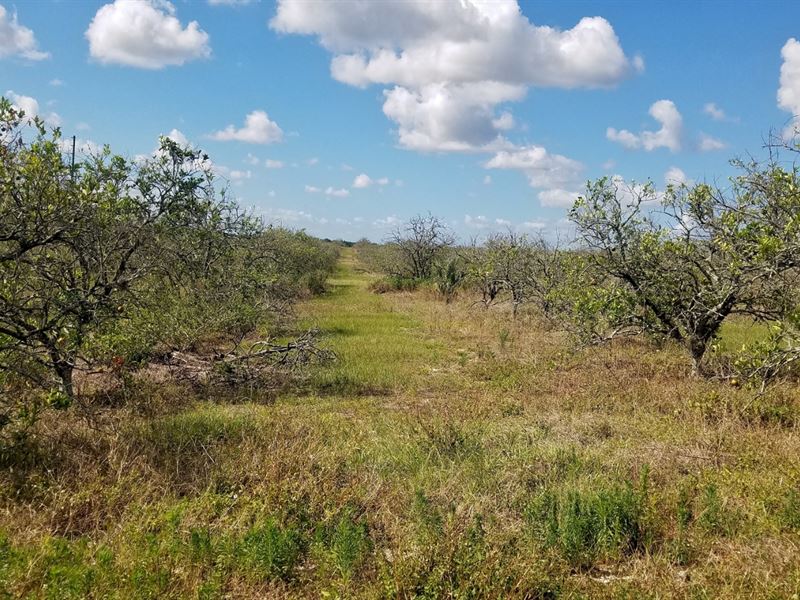 Prime 10+/- Acres Homesite : Frostproof : Polk County : Florida