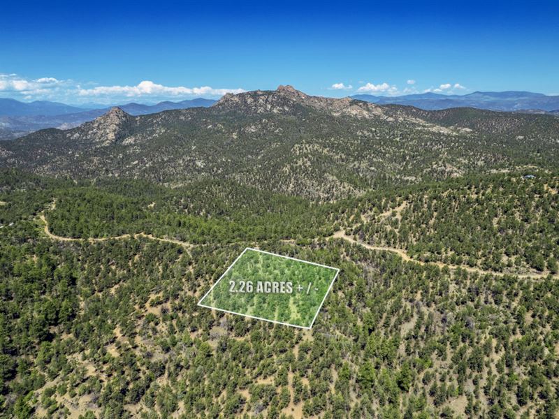 2.26 Wooded Acre in Texas Creek, CO : Cotopaxi : Fremont County : Colorado