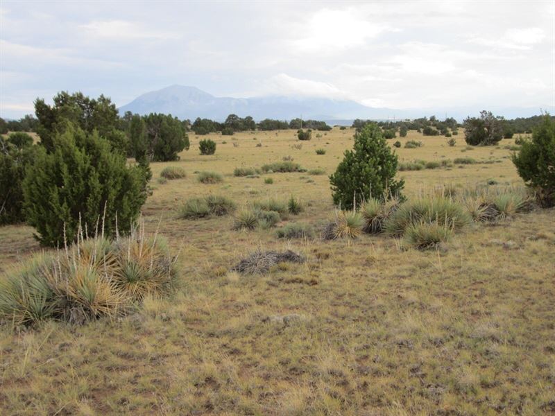 125 Rio Cucharas Phs 1, Walsenburg : Walsenburg : Huerfano County : Colorado