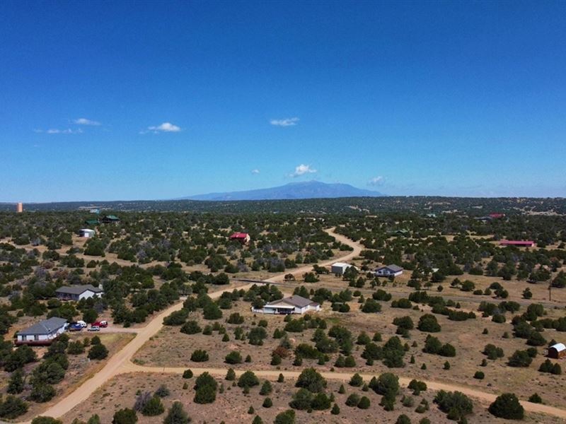 Buffalo Dr South Navajo Ranch Lot 2 : Walsenburg : Huerfano County : Colorado