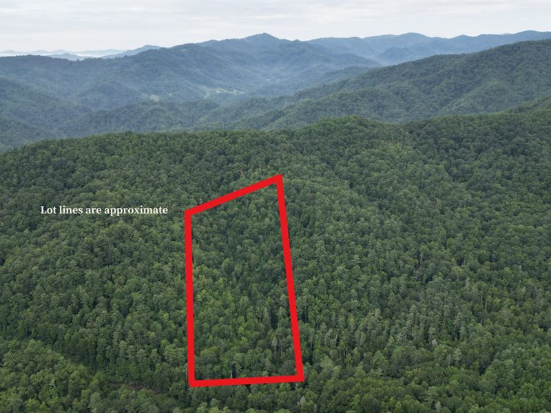National Forest Surrounds Madison : Marshall : Madison County : North Carolina