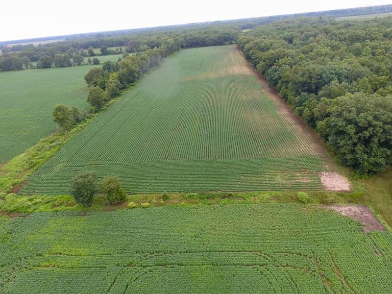 9 Acres Tillable for Sale, Pul : Medaryville : Pulaski County : Indiana