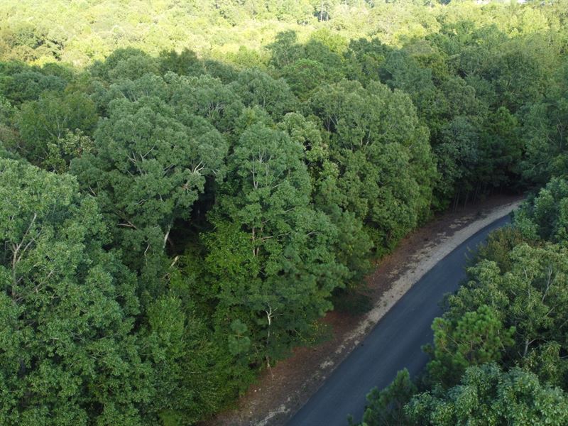 5 Acres Lee Road 2098 : Valley : Lee County : Alabama