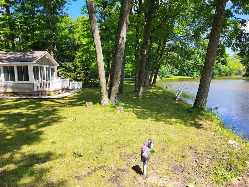 Muskegon River Wildlife Shores : Evart : Osceola County : Michigan
