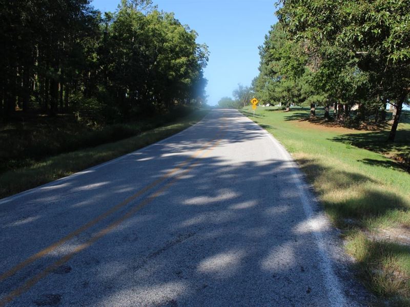 Just Outside Of Marshall City Limit : Marshall : Searcy County : Arkansas