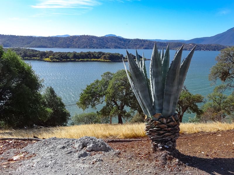 Panoramic Lake Views : Clearlake : Lake County : California