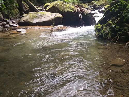 Off Grid Wild Adventure : Costa Rica