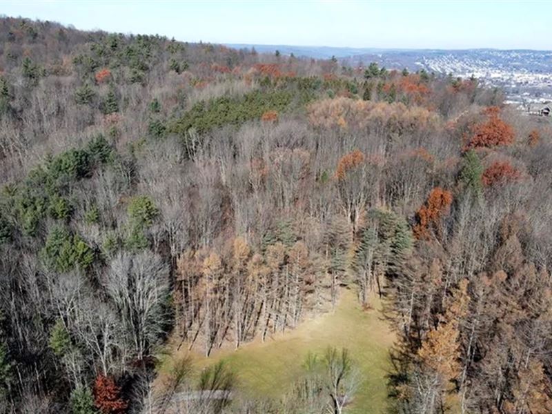 139K Sqft in Vestal, NY : Vestal : Broome County : New York