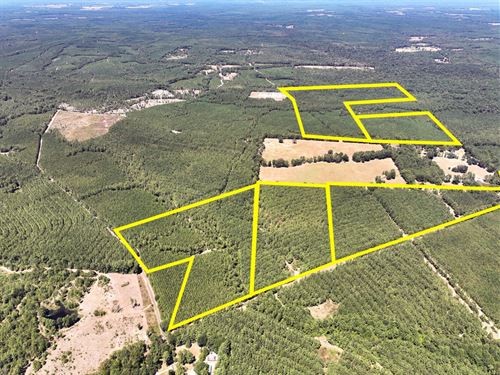 19 Acres, T-12 Saron : Nancy : Angelina County : Texas