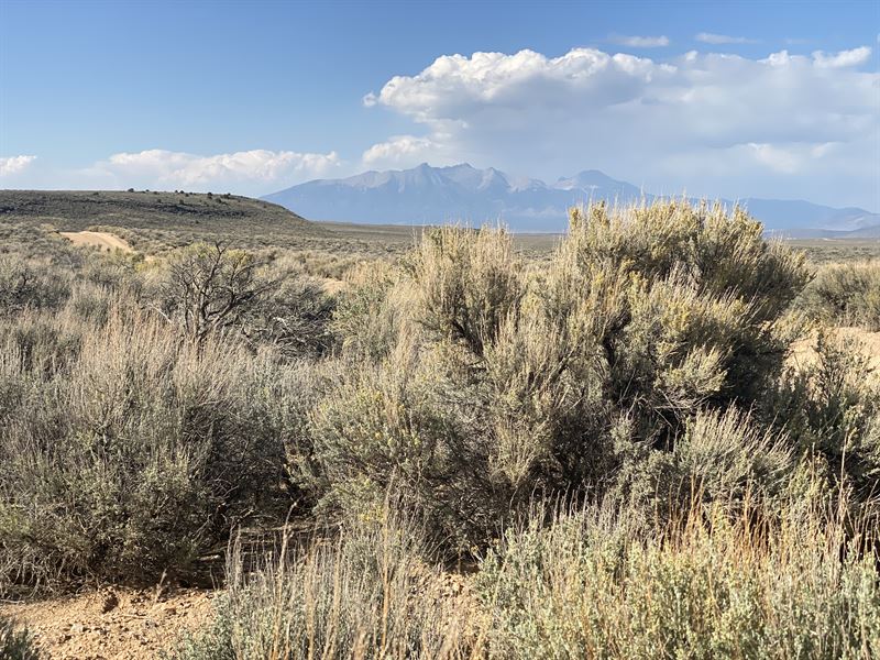 Easy Drive and Excellent Views : San Luis : Costilla County : Colorado