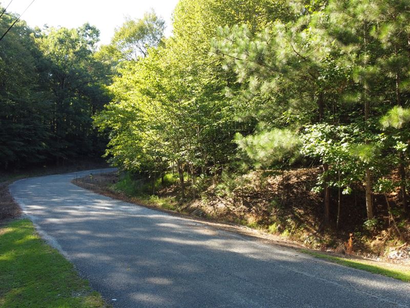 3 Acres Lee Road 2098 : Valley : Lee County : Alabama