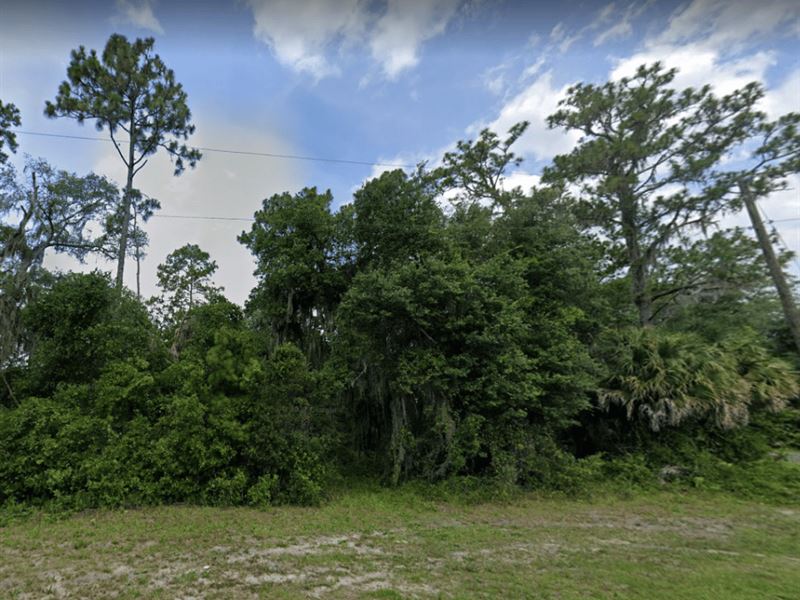 Beautiful Lot for Your Home : Ocklawaha : Marion County : Florida