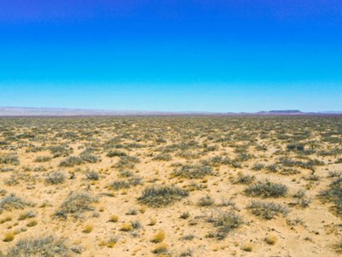 A Taste of Texas Paradise : Van Horn : Culberson County : Texas