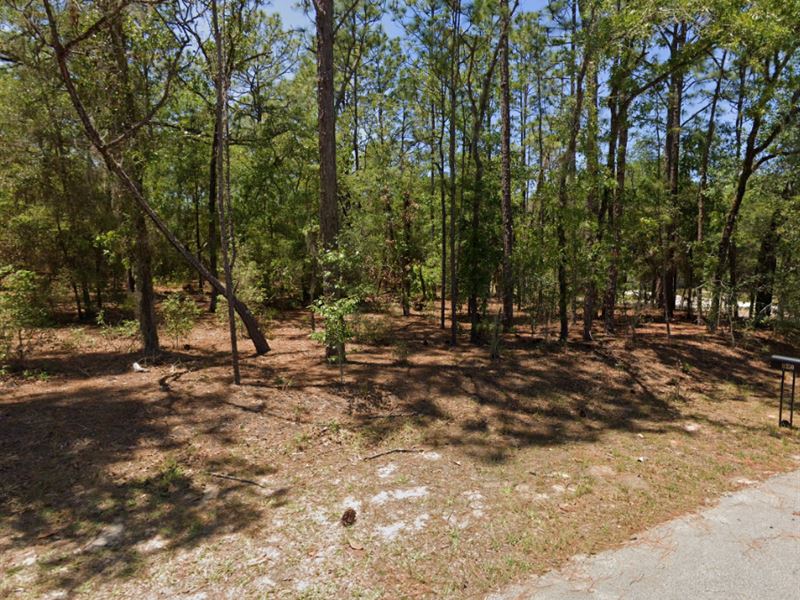 1.07 Acre Lot Located in Dunnellon : Dunnellon : Marion County : Florida