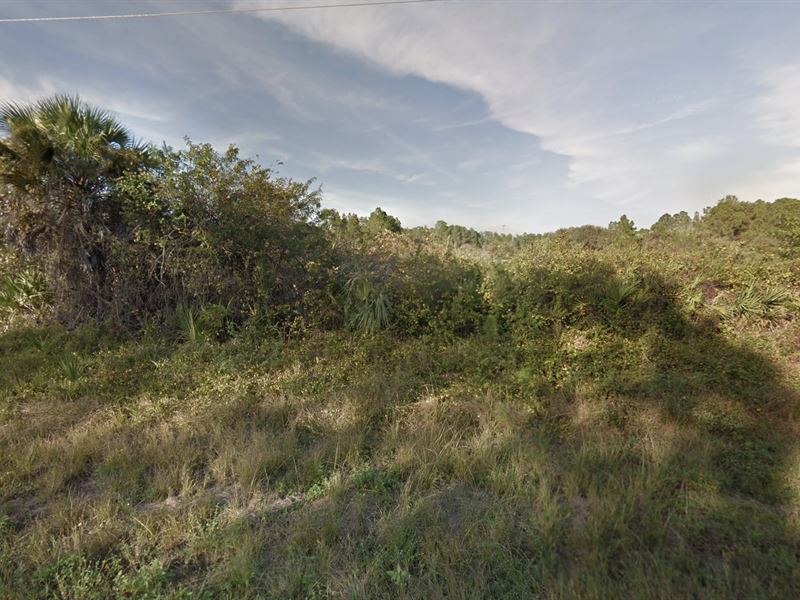 1/4 Acre in Southwest Florida : Lehigh Acres : Lee County : Florida