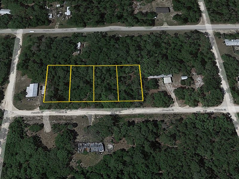 Own 4 Adjacent Lots in Satsuma, FL : Satsuma : Putnam County : Florida