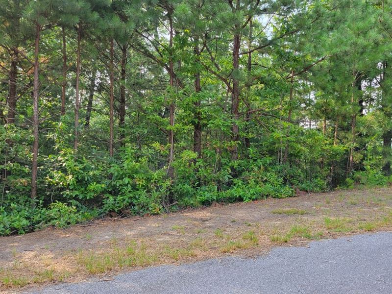 6.5 Acres in Wilkes County, NC : North Wilkesboro : Wilkes County : North Carolina