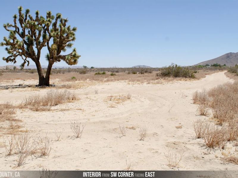 8.13 Acres Flat & Buildable : Palmdale : Los Angeles County : California