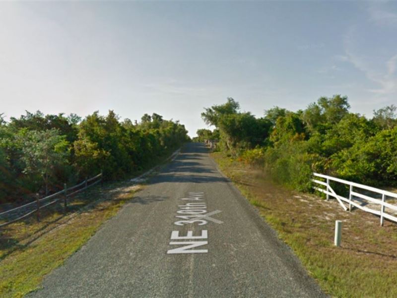 Mobile Home Lot in Salt Springs, FL : Salt Springs : Marion County : Florida