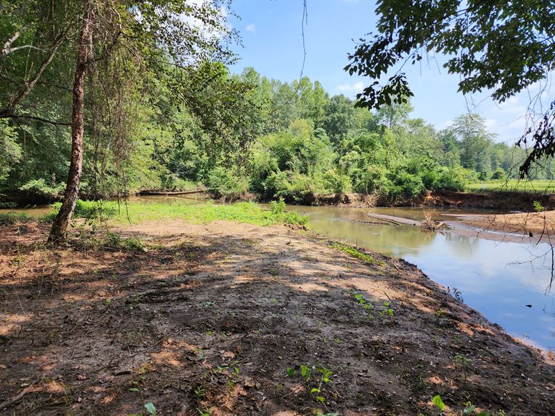 20 Acre Pad Homesite, Wells Creek : Lanett : Chambers County : Alabama