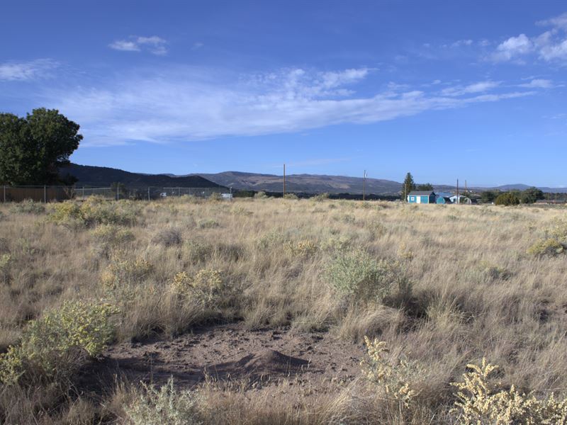 Dream Big in Springerville, AZ : Springerville : Apache County : Arizona