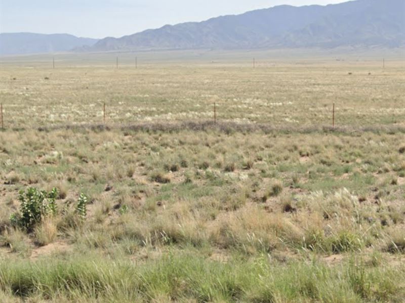 Cheap New Mexico Land, $950 : Belen : Valencia County : New Mexico