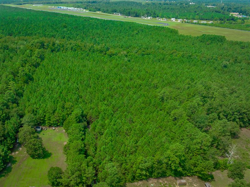 The 378 Tract in Horry County : Conway : Horry County : South Carolina