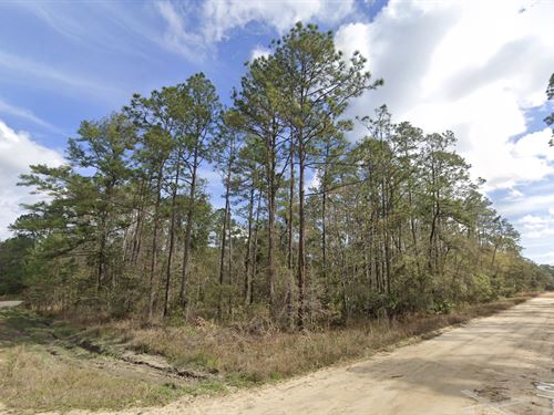 Find Your Dream Home in Interlachen : Interlachen : Putnam County : Florida