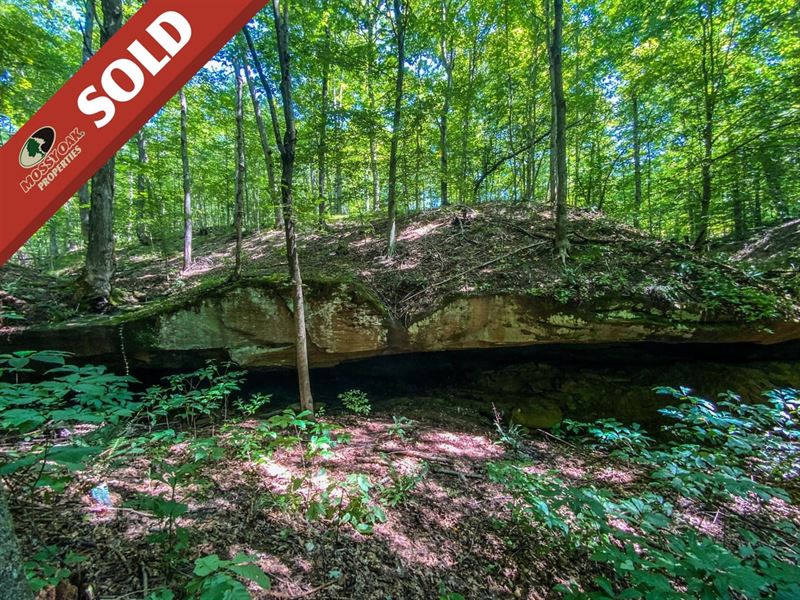 Cooper Rd, 12 Acres, Vinton Count : Wilkesville : Vinton County : Ohio