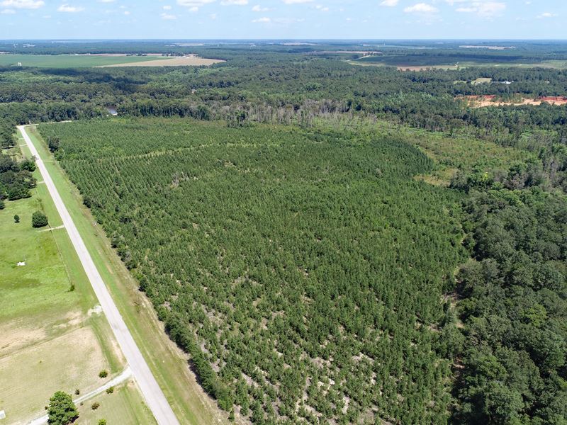 10 to 20 Acre Tracts : Louisville : Jefferson County : Georgia