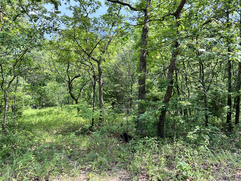 Camping Gem in Benton County : Lincoln : Benton County : Missouri