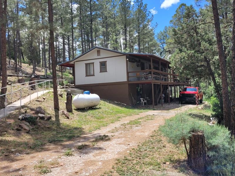 37 Tres Marias Dr : Timberon : Otero County : New Mexico