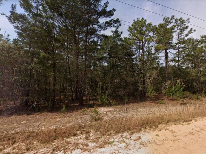 .22 Acres of Paradise Awaits You : Florida : Putnam County : Florida