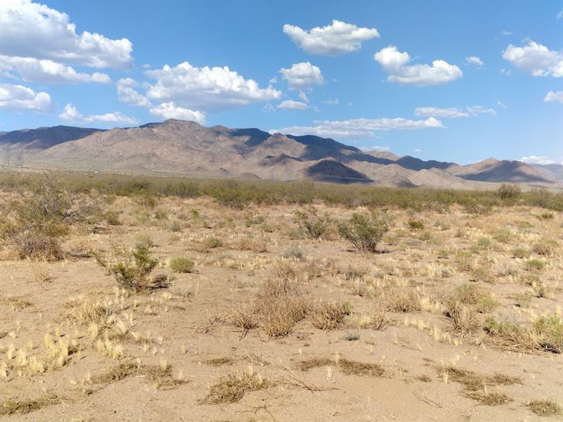 5 Acre 2.5 Hours From Las Vegas : Lake Mead Rancheros : Mohave County : Arizona