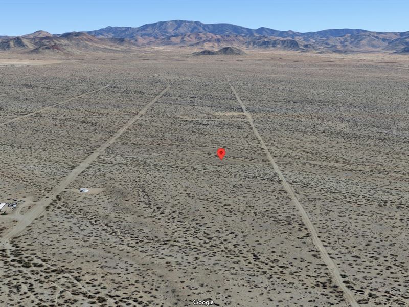 1.13 Ac of Absolute Desert Paradise : Golden Valley : Mohave County : Arizona