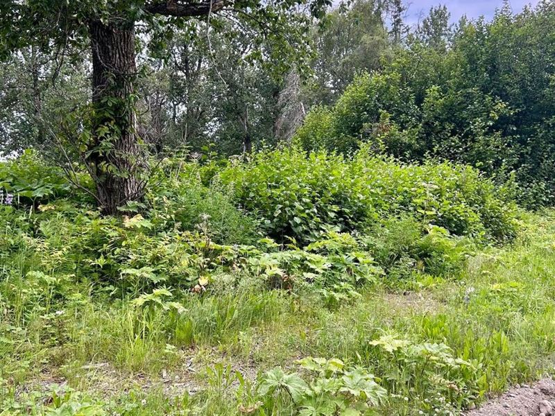 Huge Lot, 3.06 Acres in Nikiski Nic : Nikiski : Kenai Peninsula Borough : Alaska